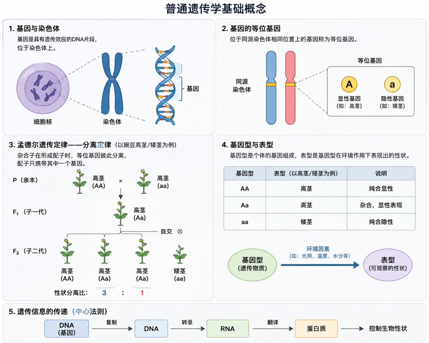 细胞质遗传